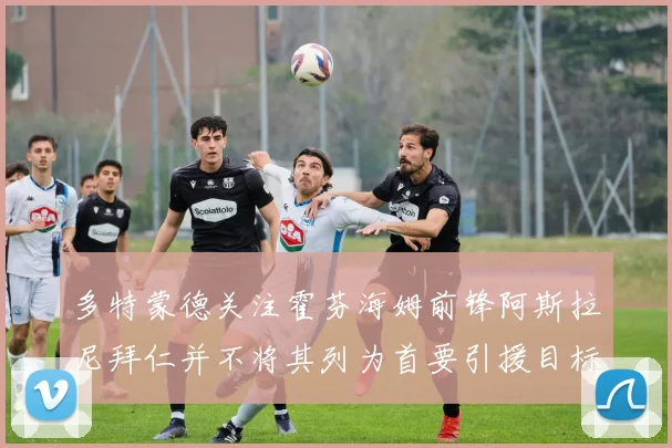 多特蒙德关注霍芬海姆前锋阿斯拉尼拜仁并不将其列为首要引援目标