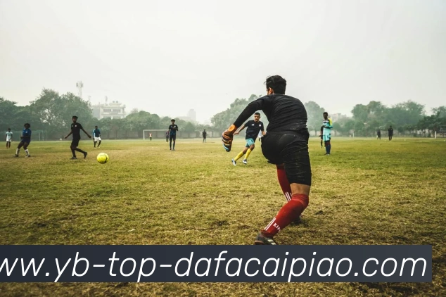 大发彩票服务体系