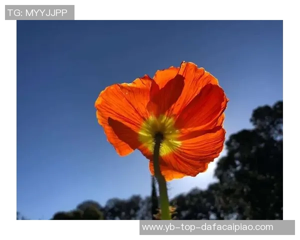 法夫尔回顾往事拒绝拜仁感慨人生匆匆已步入68岁人生阶段